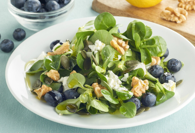 ensalada-de-cano-nigos-con-ara-ndanos-y-queso-feta