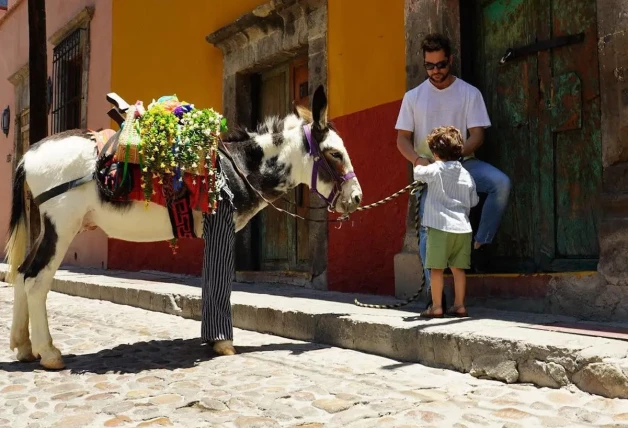 David Bisbal con su hijo 4