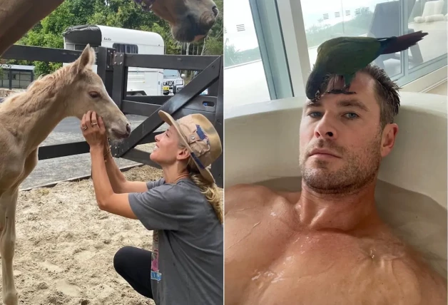 Elsa Pataky y Chris Hemsworth mascotas