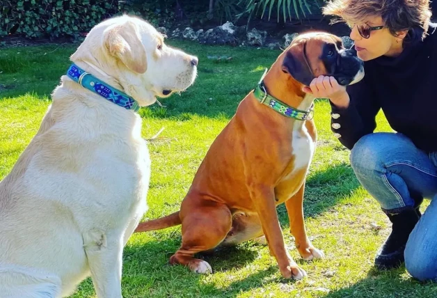 Sonsoles Ónega con sus perros