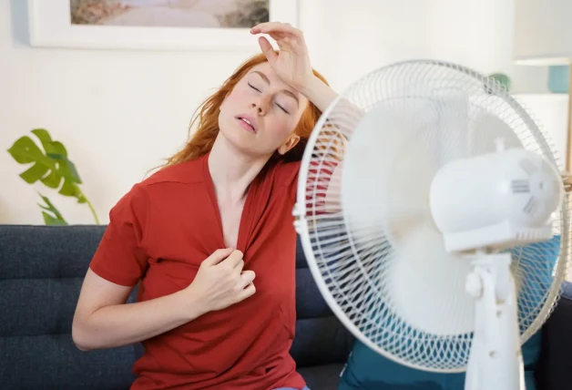 LOS MEJORES MODELOS DE VENTILADORES 1