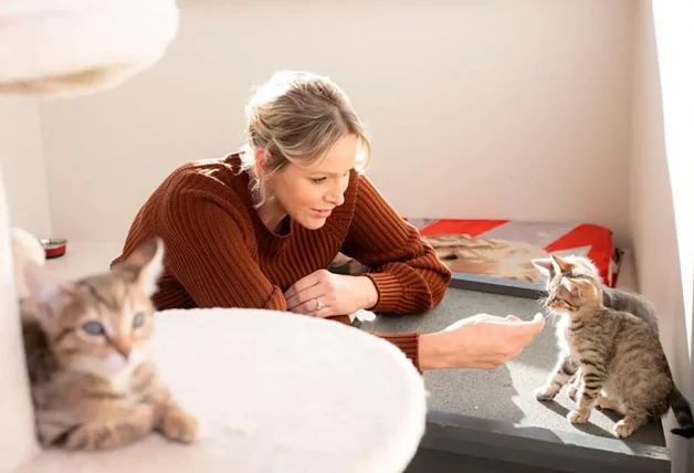 Charlene de Mónaco acariciando a un gato