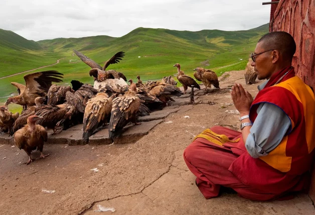 Los buitres se encargan de llevar al cielo a algunos tibetanos.