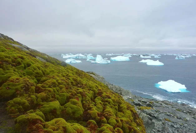 El calentamiento global provoca que se fundan los glaciares.