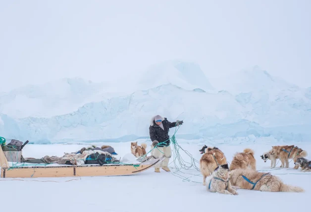 Tomada durante una tormenta de nieve en Groenlandia, la ganadora de la sección Documental muestra la paciente espera de los huskies mientras el guía desenreda las cuerdas con las que tiran del trineo.