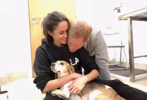 Meghan Markle y el príncipe Harry junto a su perro, Guy.