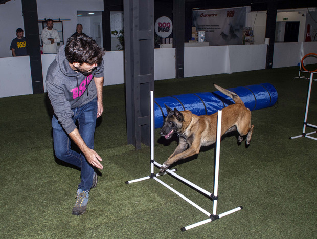 Hijo de Nacho Sierra entrenando a un perro