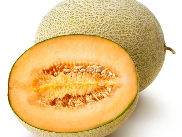 Melón cantalupo