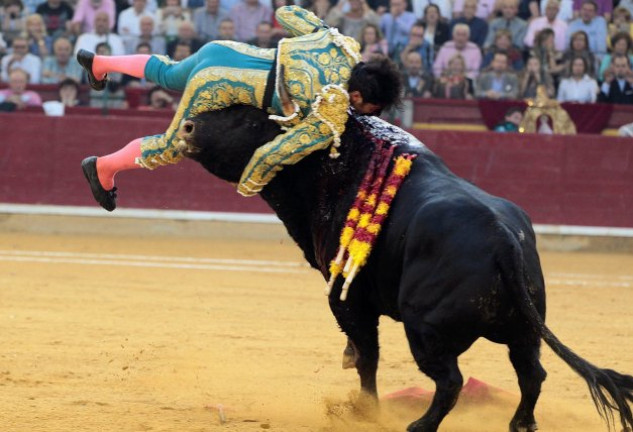 Momento en que el diestro es lanzado al aire por el toro.   