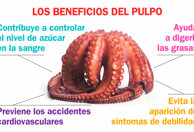 El pulpo aleja la depresión y la anemia.