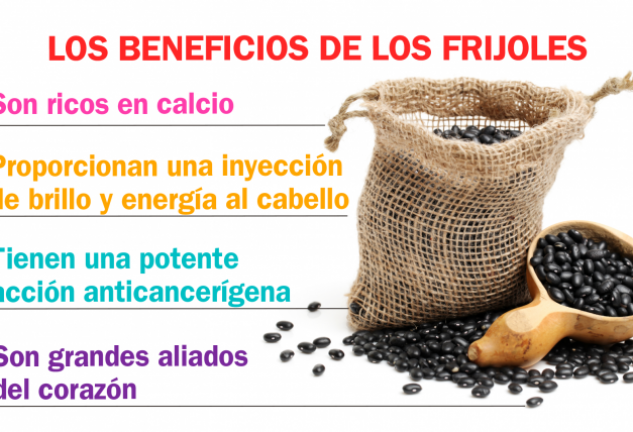 Los frijoles apenas contienen grasas (un 0,2% de su peso)