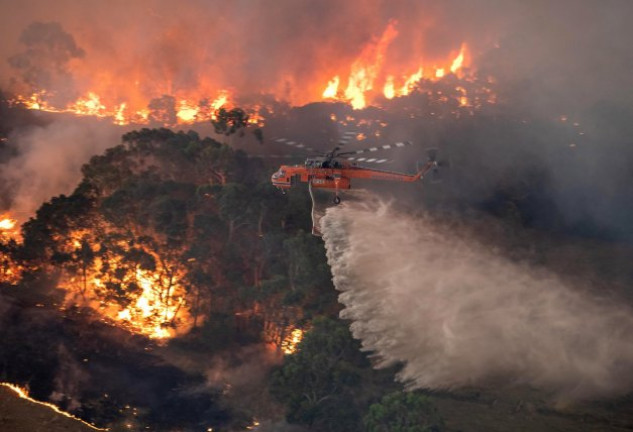 La región de Nueva Gales del Sur lleva tres meses sufriendo incendios.