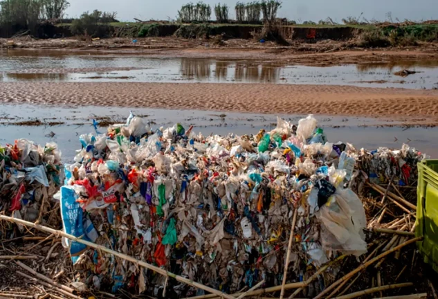 ALBUFERA_greenpeace recogida de plasticos