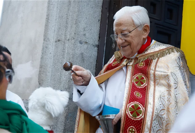 padre angel perro