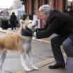 hachiko pelicula