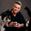 Robbie Williams rodeado de gatos.