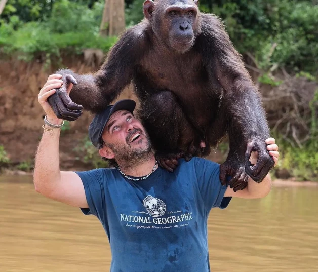 Toni Espadas con chimpance