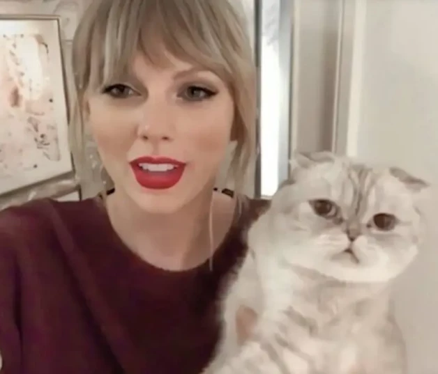 Taylor Swift con su gato