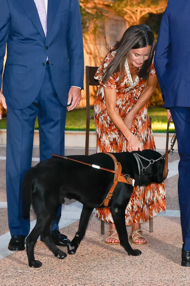 La reina Letizia saludando a un perro guía durante un evento.