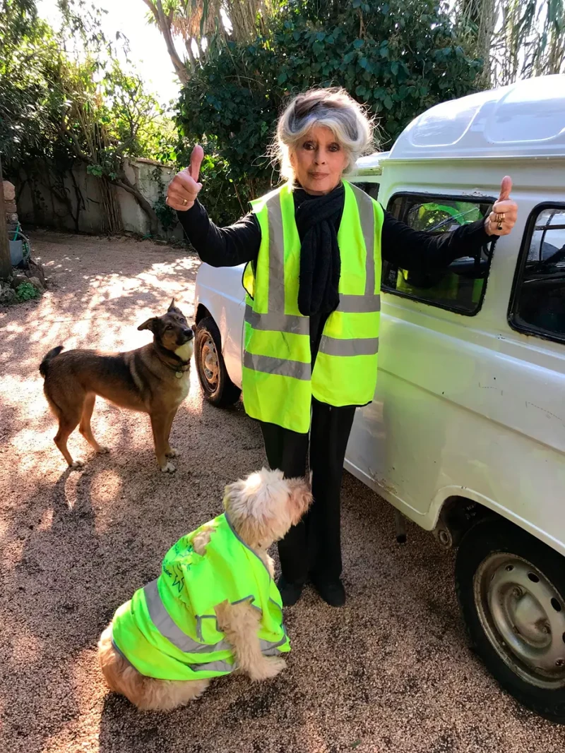 Brigitte Bardot cuida de unos perros.