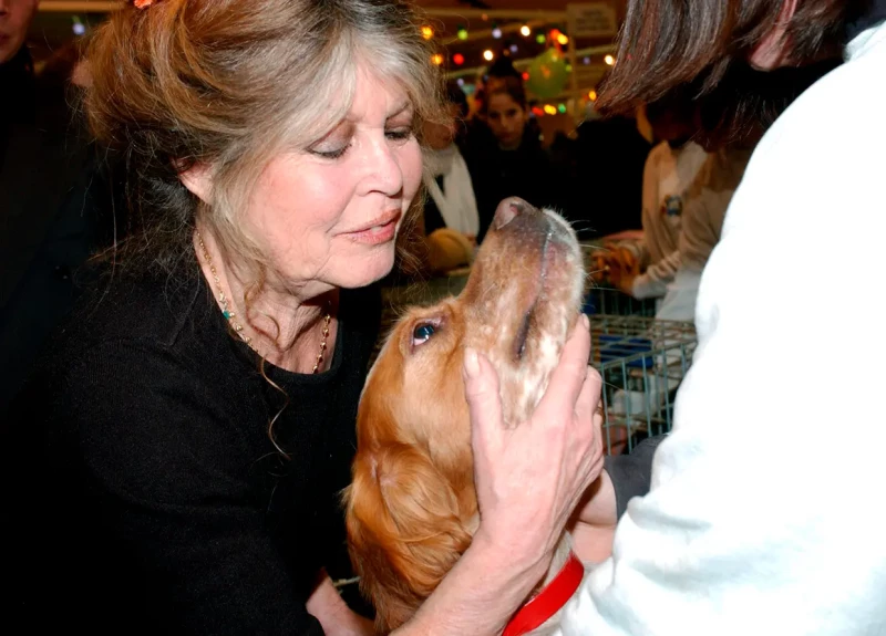 Brigitte Bardot saludando a un perro.