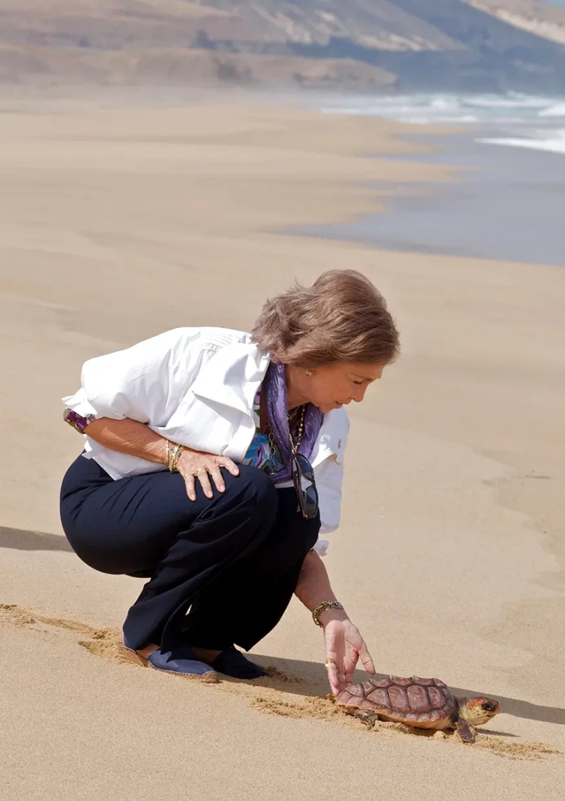 La reina Sofía ayudando a una tortuga a llegar al mar.