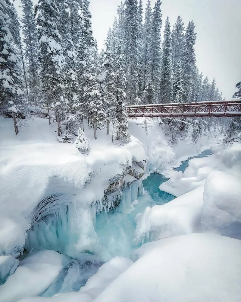 Parque natural de las Montañas Rocosas de Canadá.