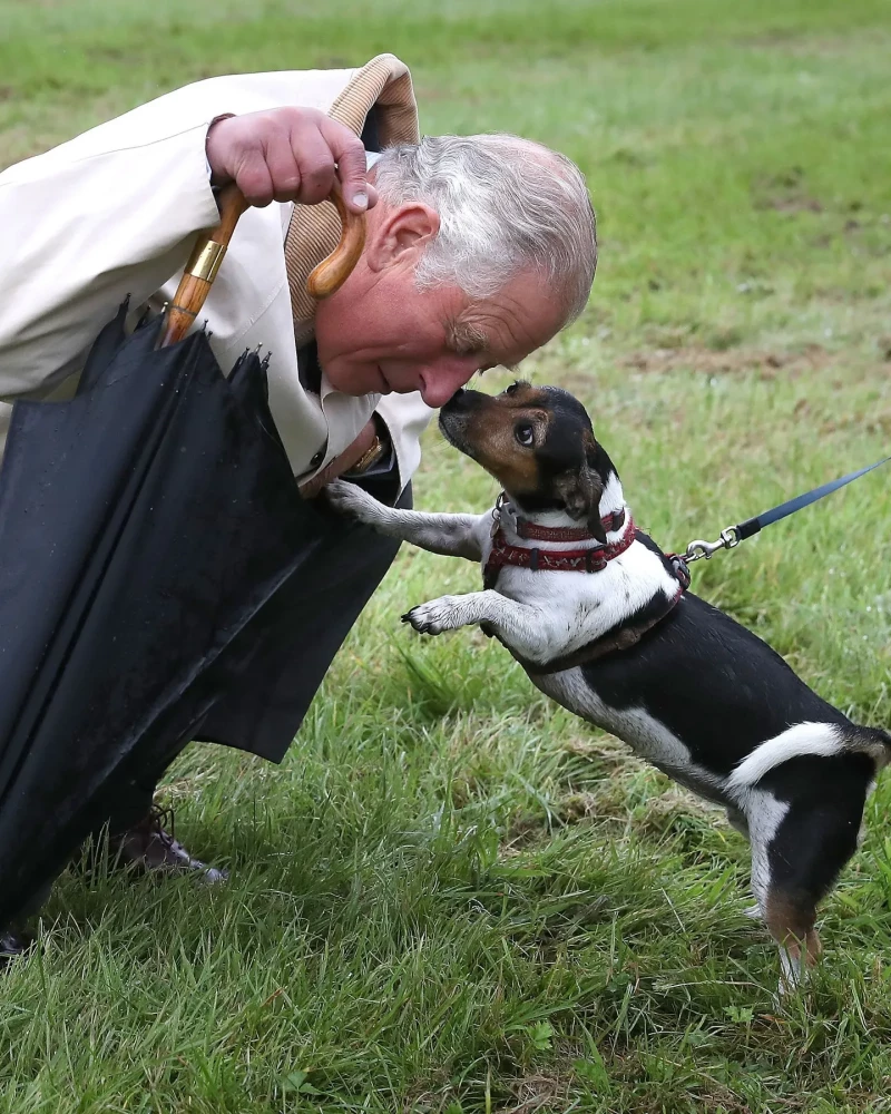 El rey Carlos III con su perrita Beth.