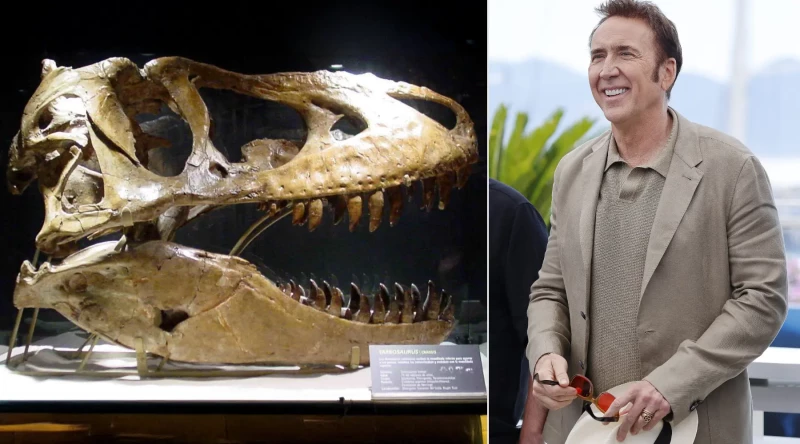 Nicholas Cage con su cráneo de dinosaurio.