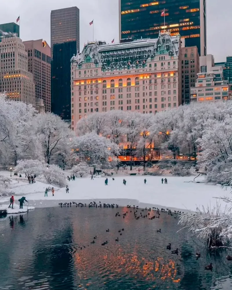 Vista invernal del Central Park de Manhattan.