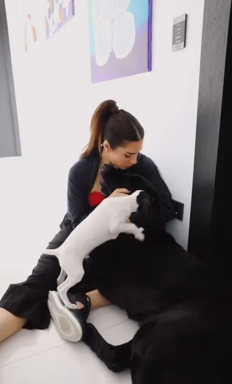 Pilar Rubio con sus perros.