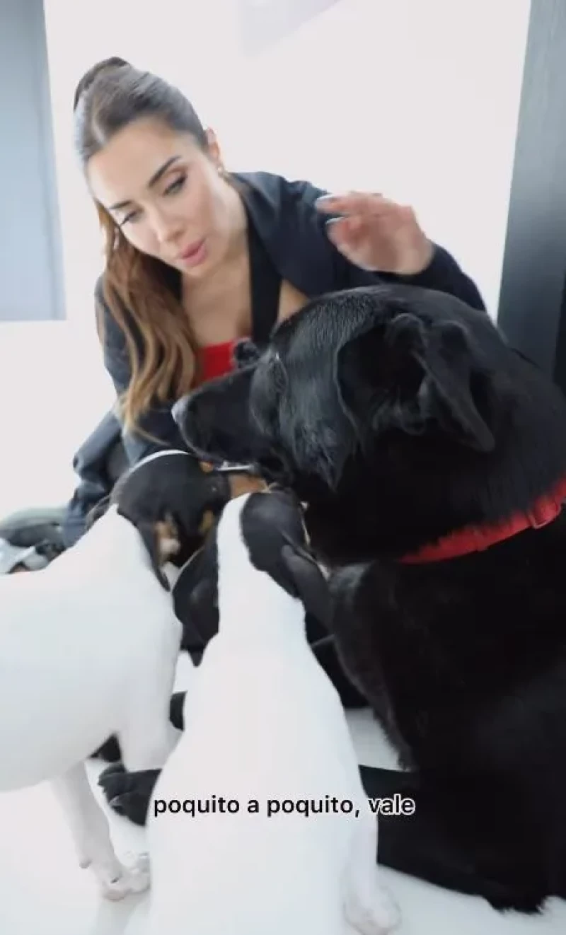 Pilar Rubio con sus perros.