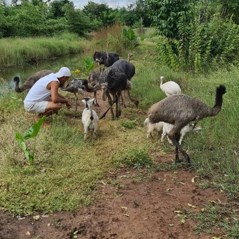 Frank Cuesta con animales en su santuario