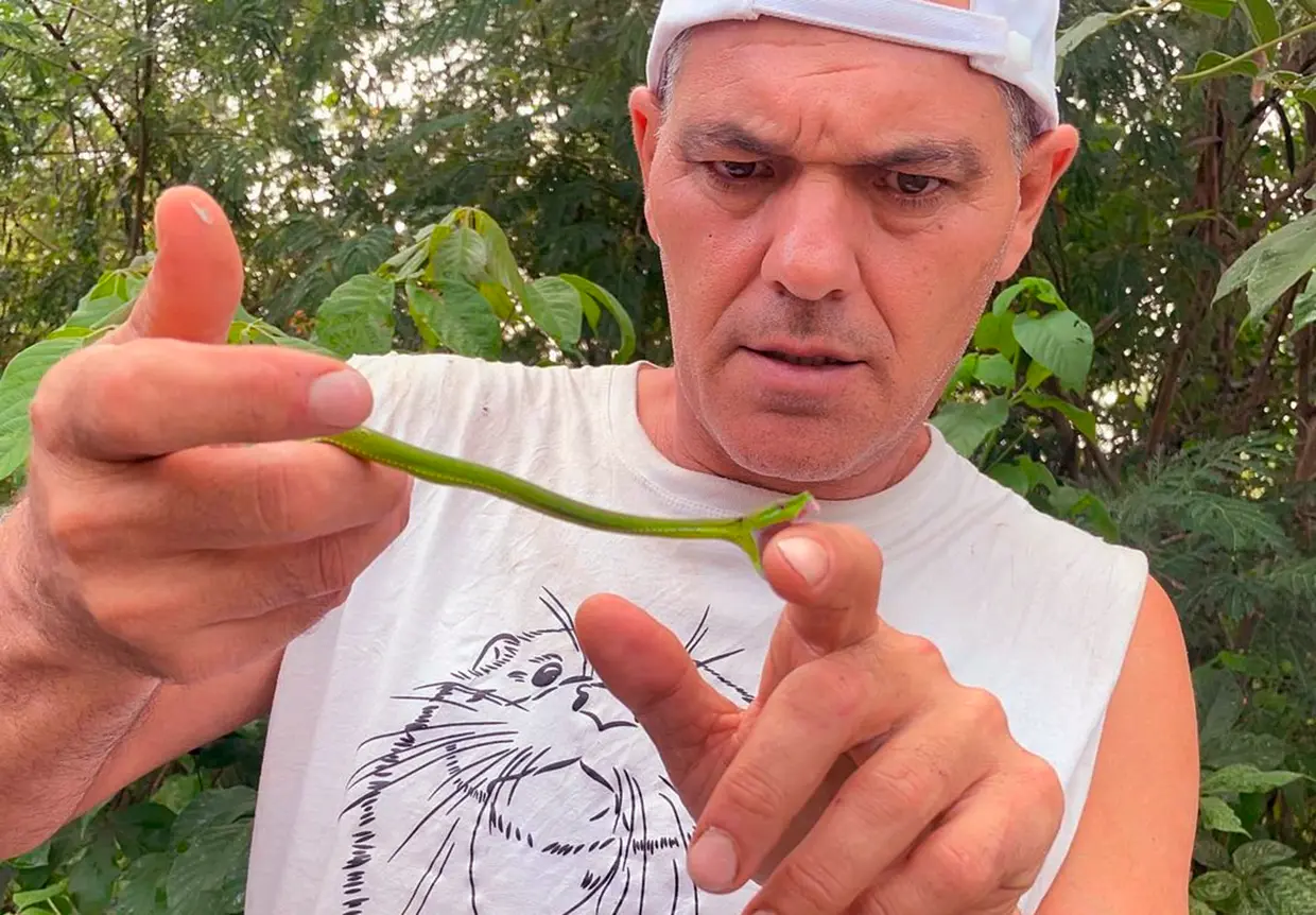 Frank dejándose morder por una serpiente.
