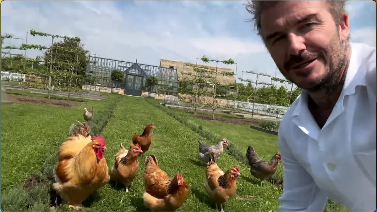 David Beckham disfruta con el campo