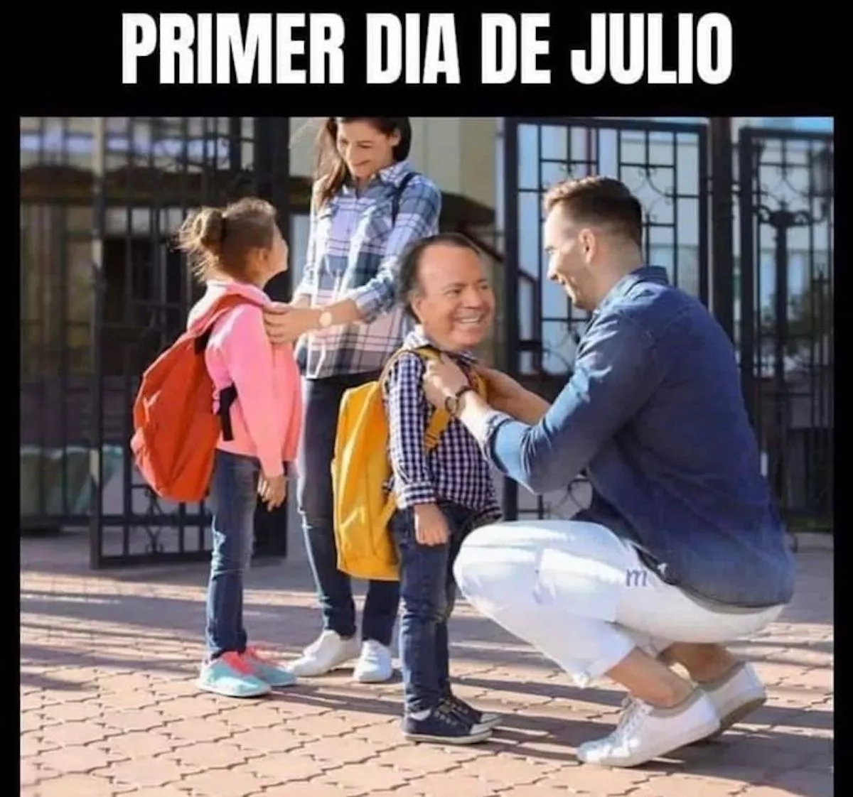 Memes de Julio Iglesias