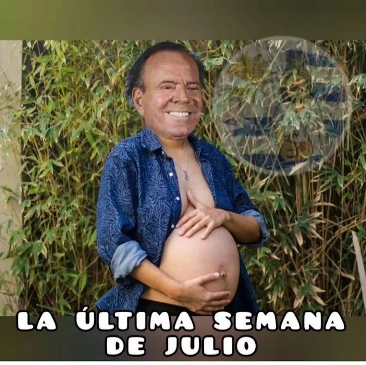 Memes de Julio Iglesias