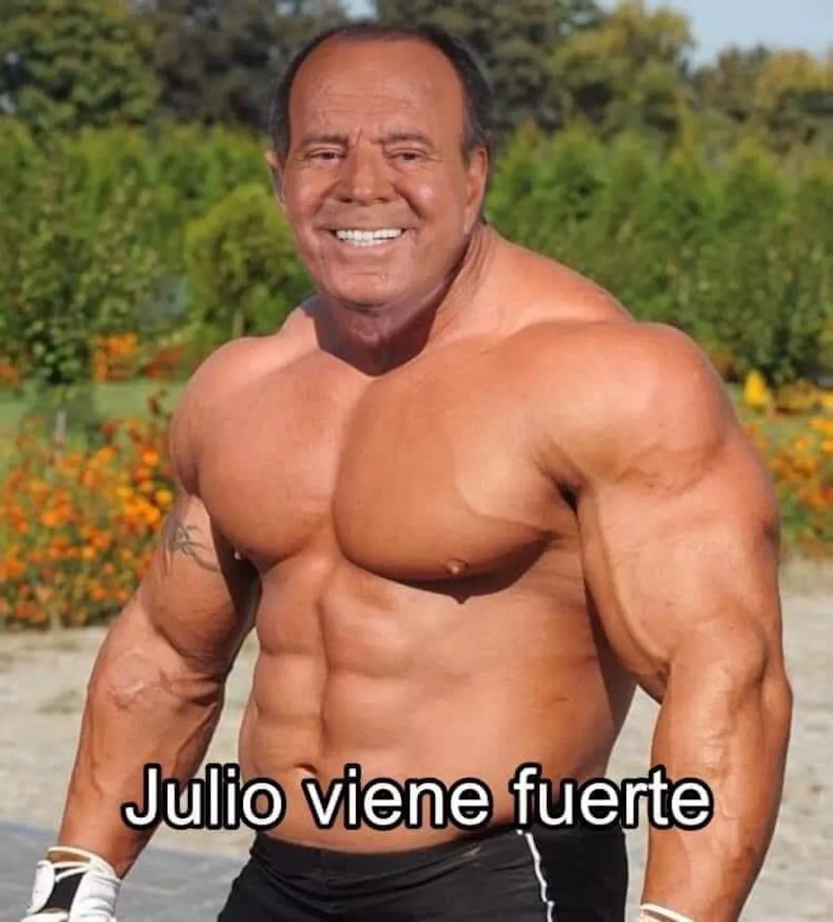 Memes de Julio Iglesias