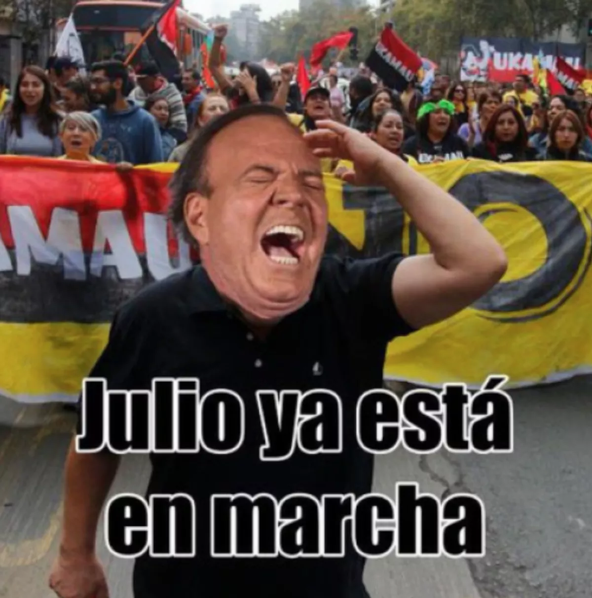 Memes de Julio Iglesias