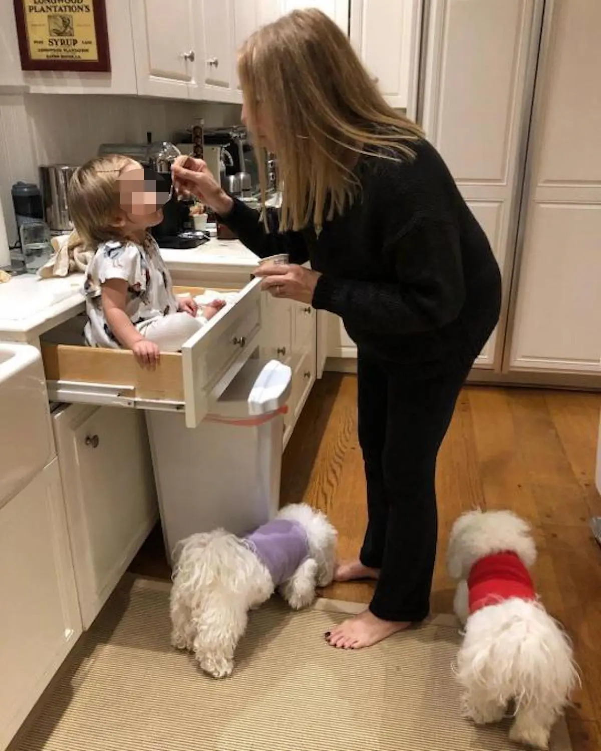 Barbra Streisand y sus mascotas idénticas