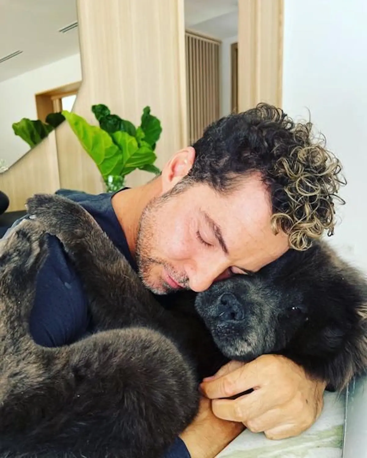 David Bisbal con su perro