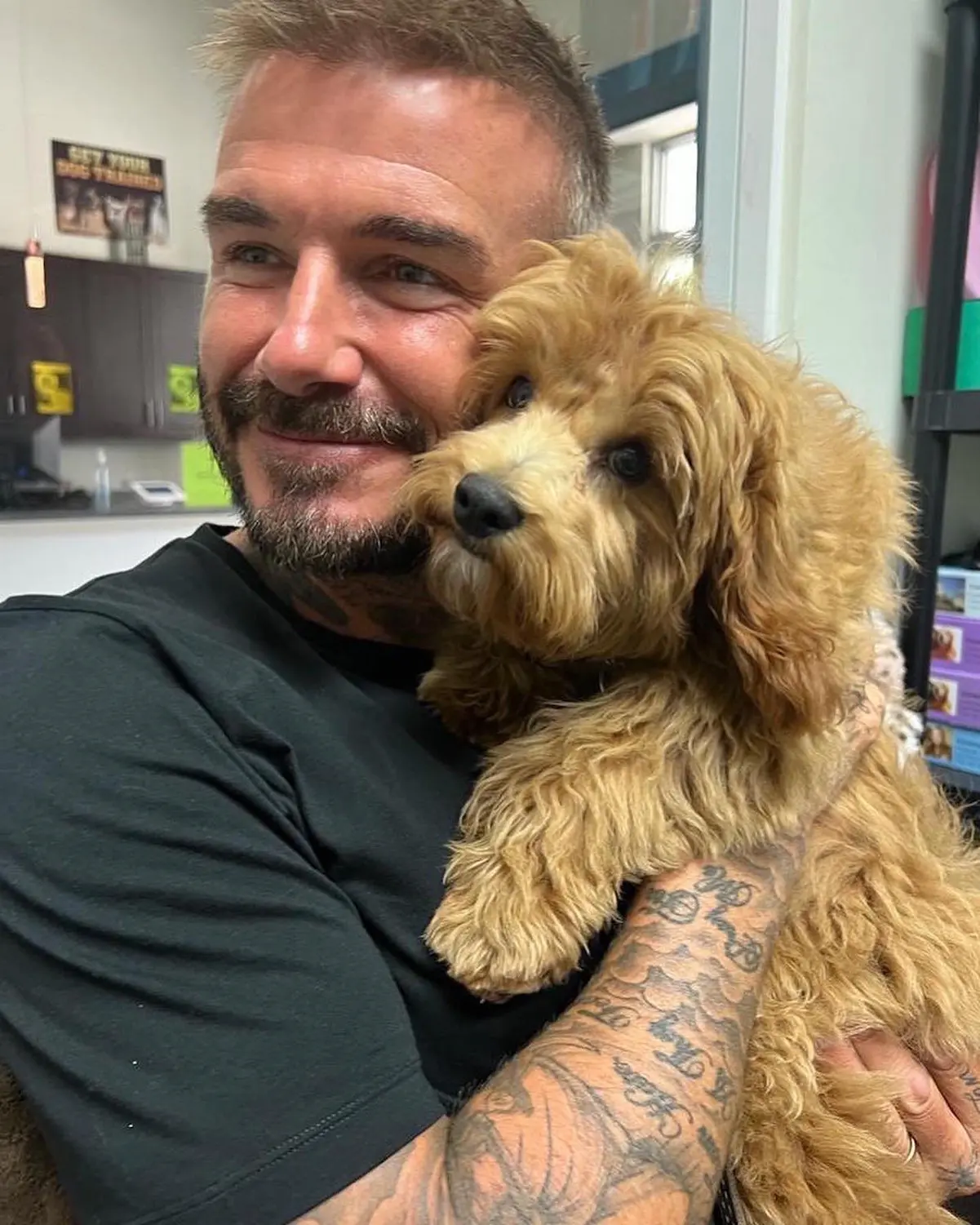 David Beckham con su perro