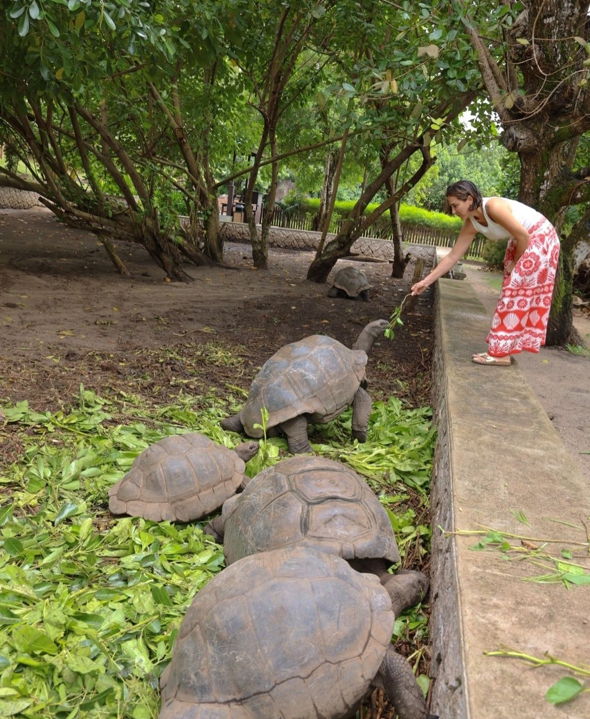 Tamara Falcó dando de comer a las tortugas de la isla.