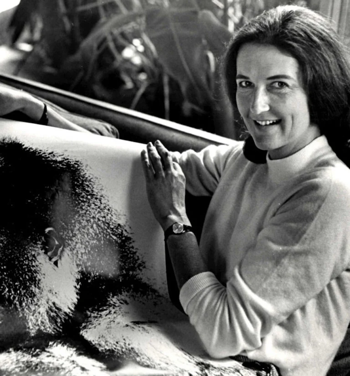 Dian Fossey posa junto a un dibujo de un gorila