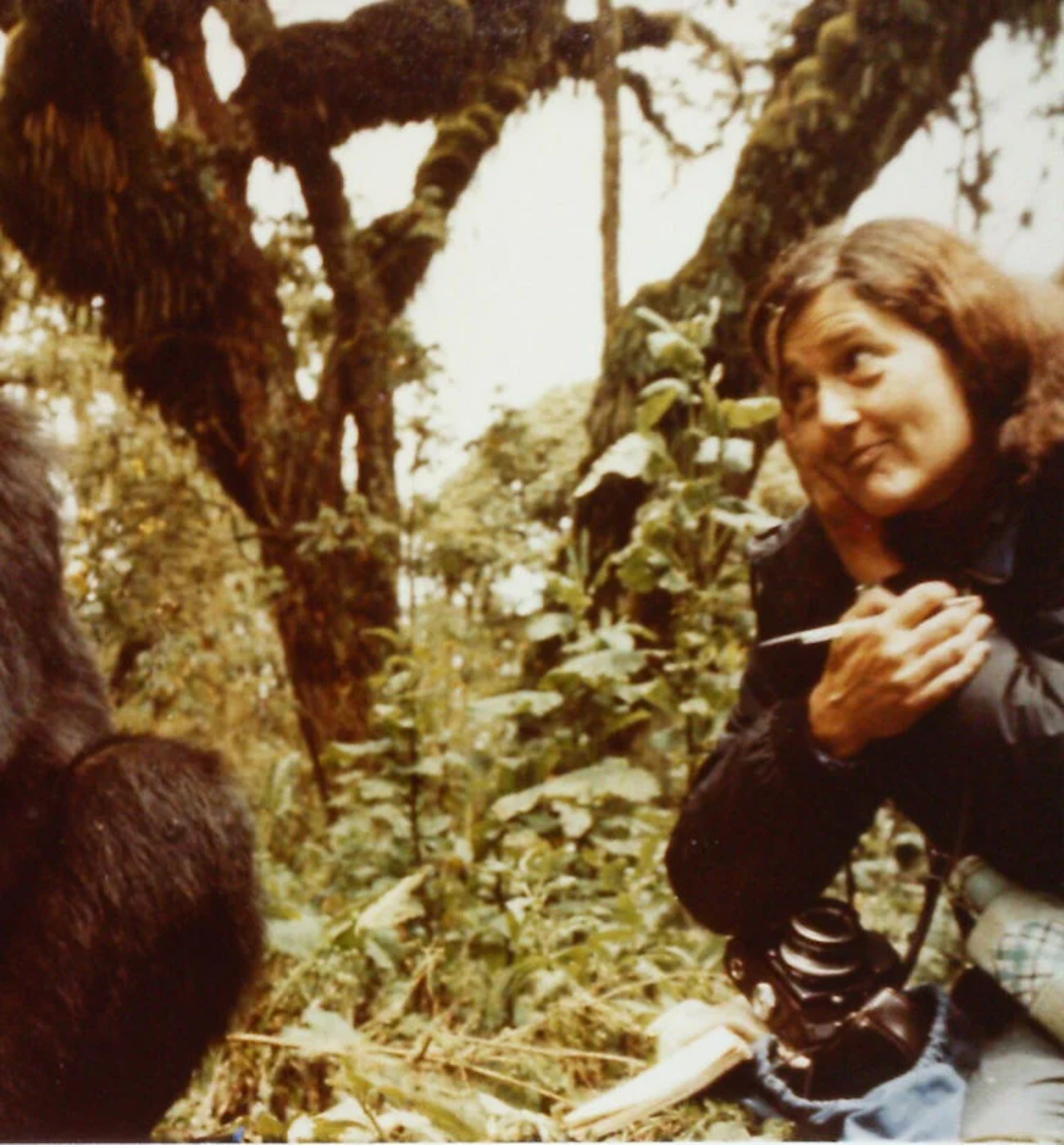 Dian Fossey junto a un gorila