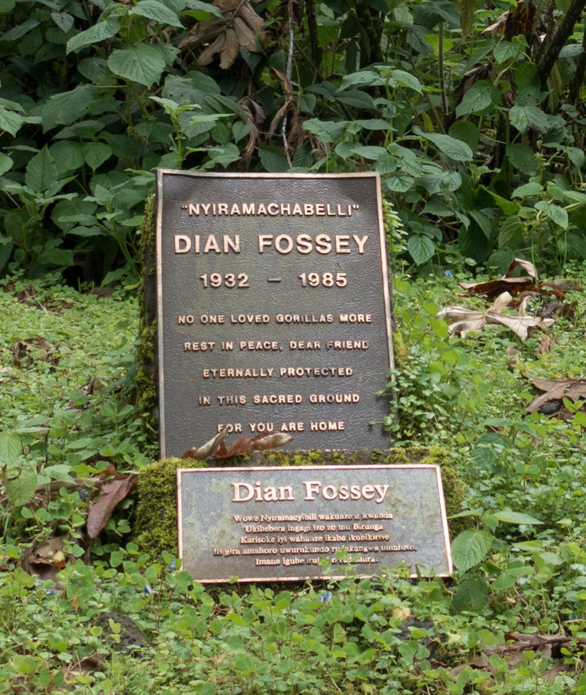 Imagen de la tumba de Dian Fossey