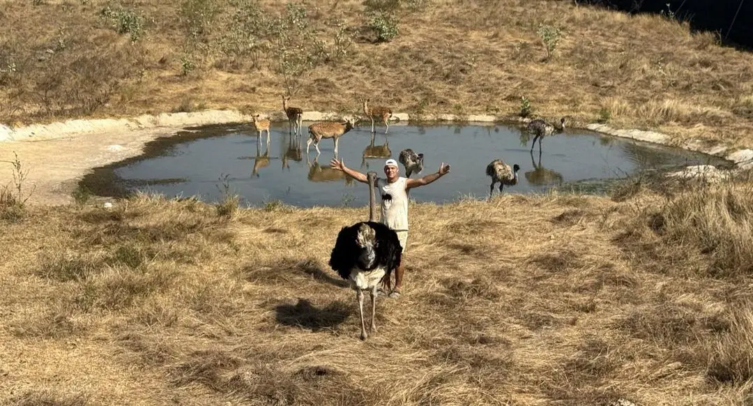 Imagen de una de las zonas del terreno donde tienen a los animales más grandes.