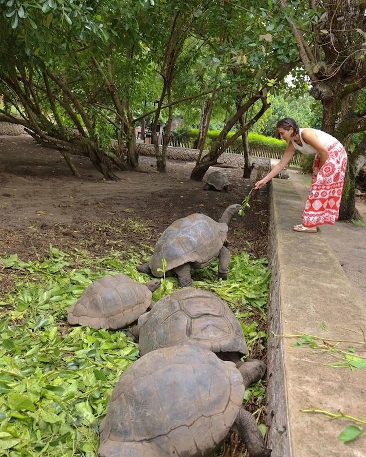 Tamara Falcó Íñigo Onieva Viaje Seychelles