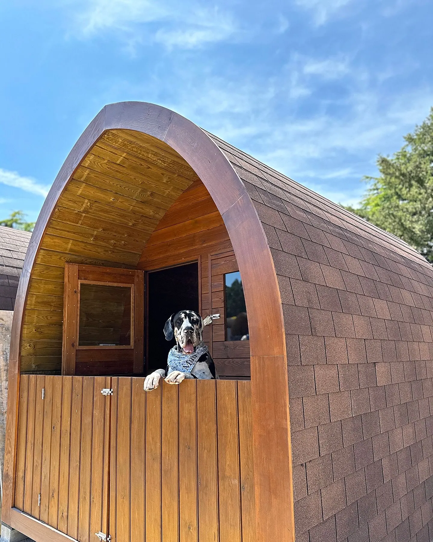 Imagen de las cabañas exteriores para perros más grandes.