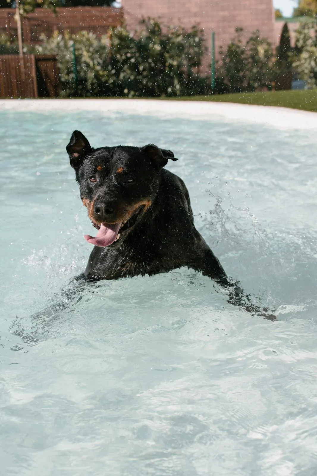 La guardería también tiene piscina.